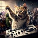 Immagine di Party At Night 
