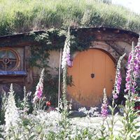 Nora Metrailler's Photo