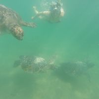 Catalina Ordóñez的照片