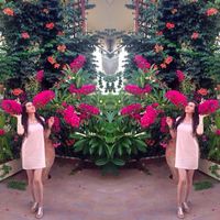 Nora Galstyan's Photo
