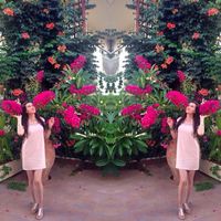 Nora Galstyan's Photo