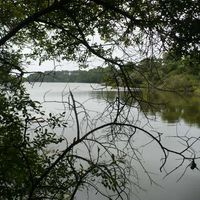 Photos de Loic dalma