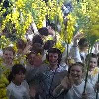 Mikhail  Chediya's Photo