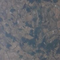 Photos de abdelghani