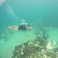 Denisse Rosas Ortiz的照片