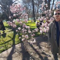 Matko Pavlovic's Photo