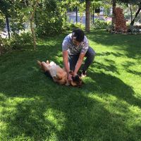 Fotos von Barış Yüksek