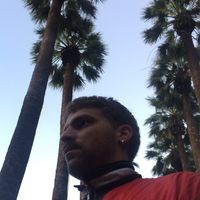 Fotos von Chris Gato