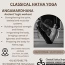 Classical Hatha Yoga Program 's picture