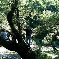 Emiliano Trodini's Photo