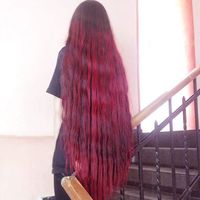 Fotos von მედუზა მედუზა