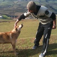 Vahid Ghaderi's Photo