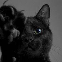 Jasmin Ben aoun's Photo