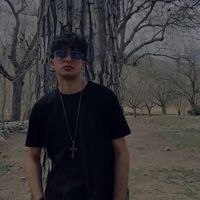 Payam Kamali的照片