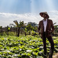 Donavon Cooper的照片