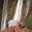 Javier Garcia's Photo