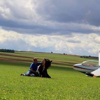 Viktoria Grill的照片