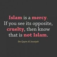 Фотографии пользователя Doctors Pasteur