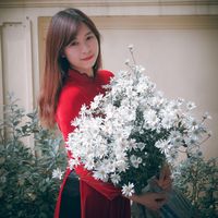 Fotos von Kim Phuong Anh