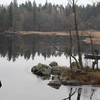 Benjamin Tison's Photo