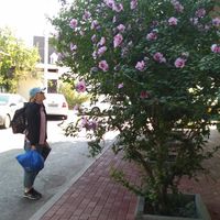 Masha Korableva的照片