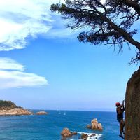 Allan Monestel's Photo