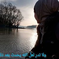 Rasha Badran的照片