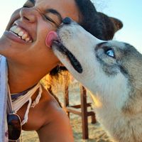 Фотографии пользователя Laura Gurrieri