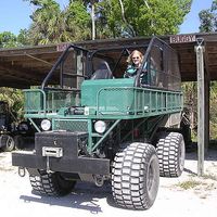 Lisa ostberg's Photo