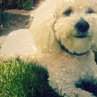 Jonathan Oliveros's Photo