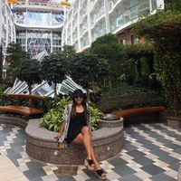 Cynthia Arredondo的照片