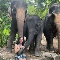 Farah Hakim的照片