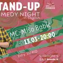 Stand-up comedy night's picture