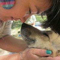 Angela Carillan的照片