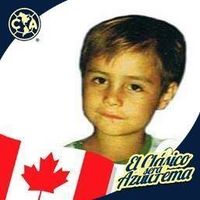 Franklin El Castor的照片