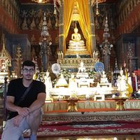 Fares Nasser的照片