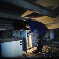 Max Vinogradov's Photo