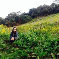 Andrea Rodríguez的照片