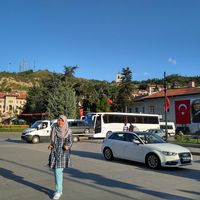 Fotos de abiesa  analistiana