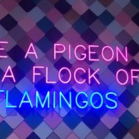 CasaVesela Mihai的照片