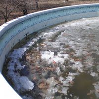 Svea - Axel Holmvig - Stenson's Photo