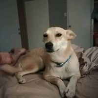 Cherie Hudson的照片