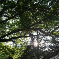 Jovan Jovanovic's Photo