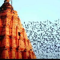 ....... ...的照片