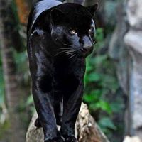 Alissia Lola的照片