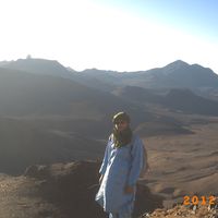 djamel  moussaouer's Photo