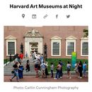 Harvard Art Museum At Night's picture