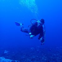 Louisiane Reignier's Photo