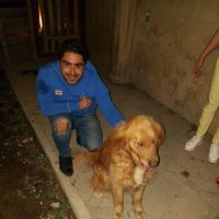 eiman mohamadi的照片