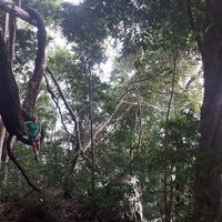 Mélanie gomes的照片